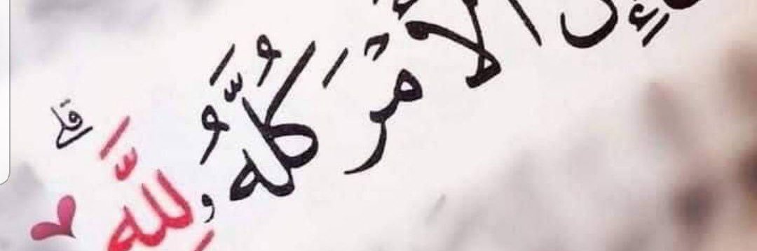 ro7e223's profile banner image