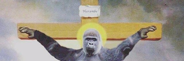 LAGODS's profile banner image