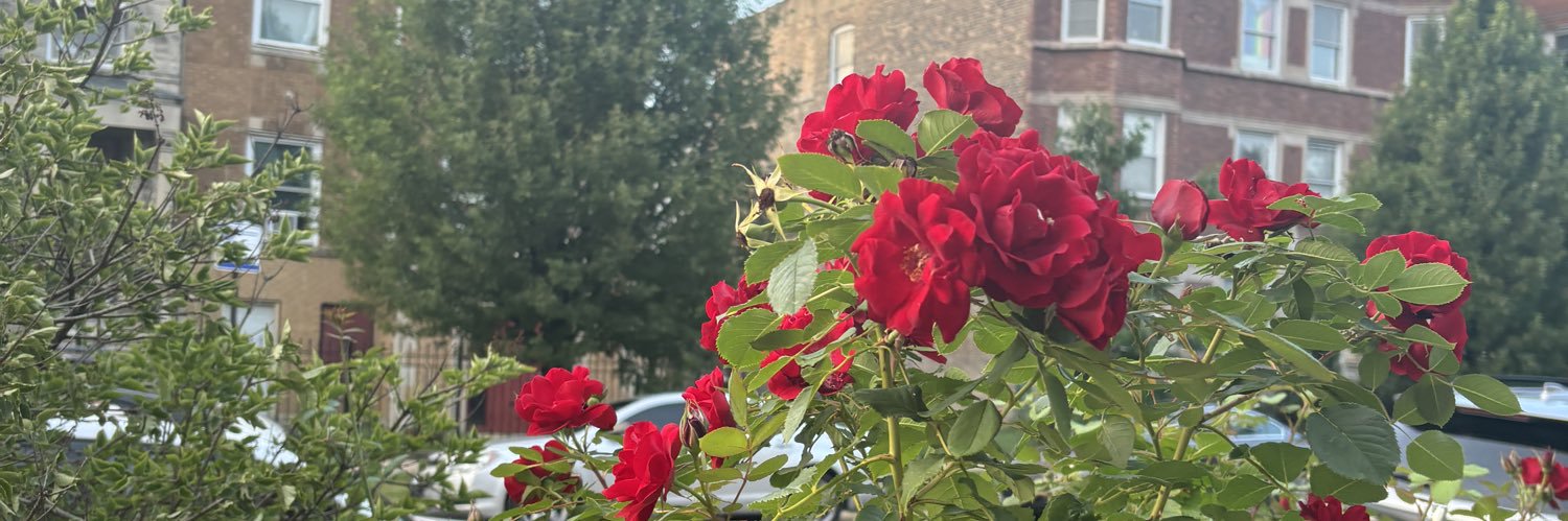 Hernandezyaret_'s profile banner image