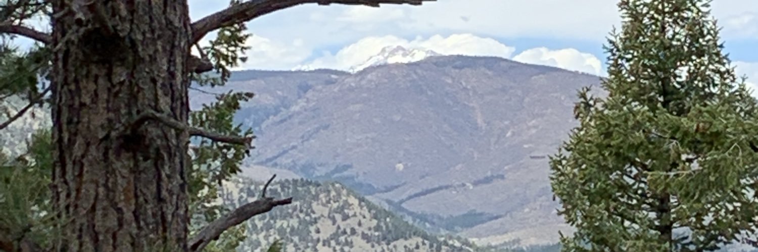 HallJaneh227's profile banner image