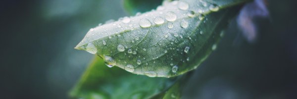 JakeGivens Profile Banner