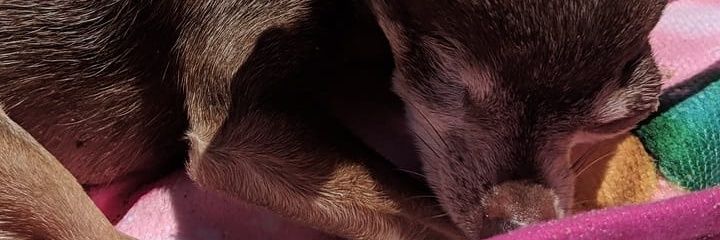 funkykim's profile banner image