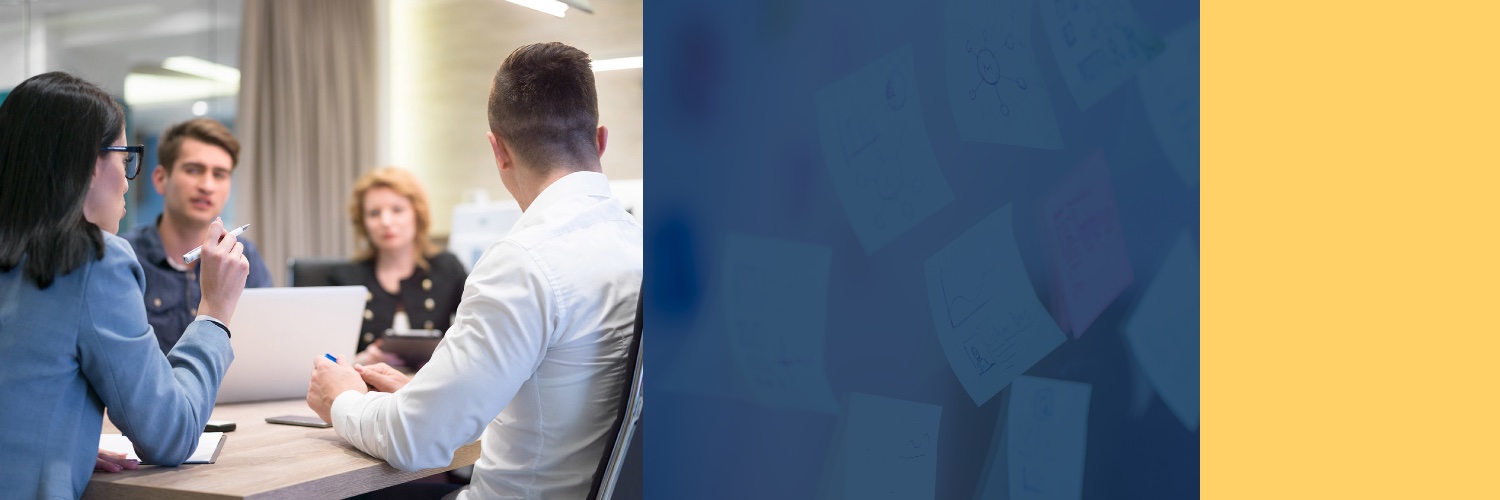 New Zealand Organisation for Quality banner