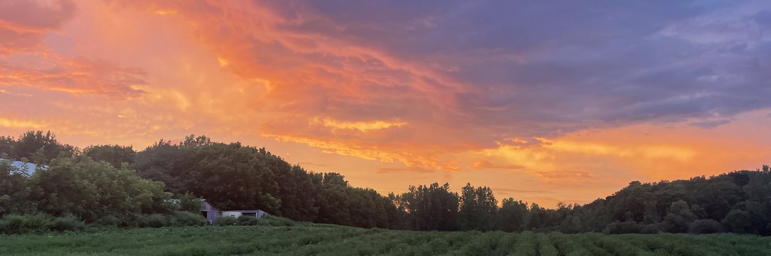 Danielwricher's profile banner image