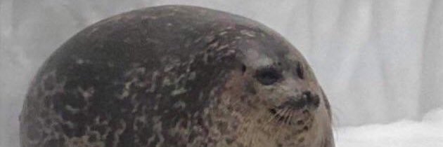 MattMLey's profile banner image