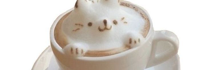 CassandraVsmith's profile banner image