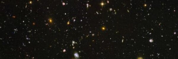 CatherineQ Profile Banner