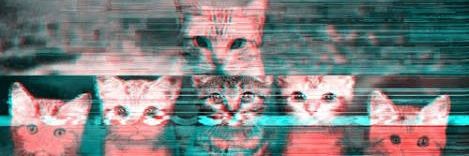 Edriend's profile banner image