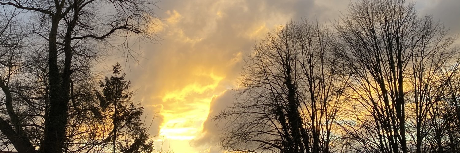 Marielcdmh's profile banner image