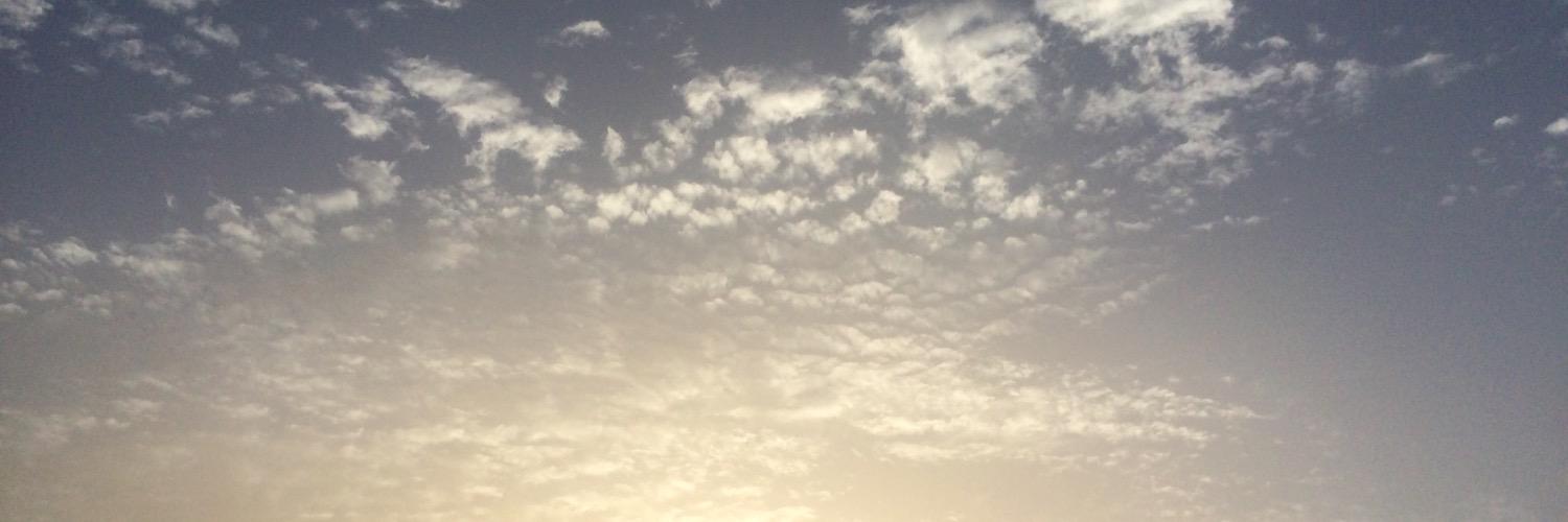 FedericaVer's profile banner image