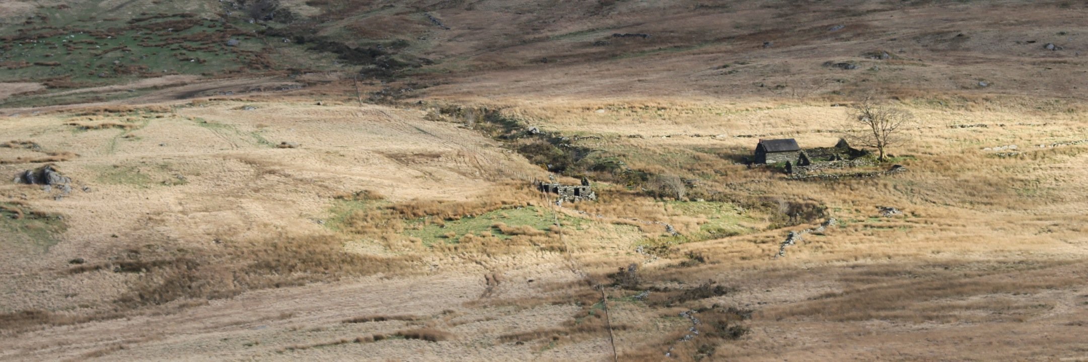 Dei Tomos's banner