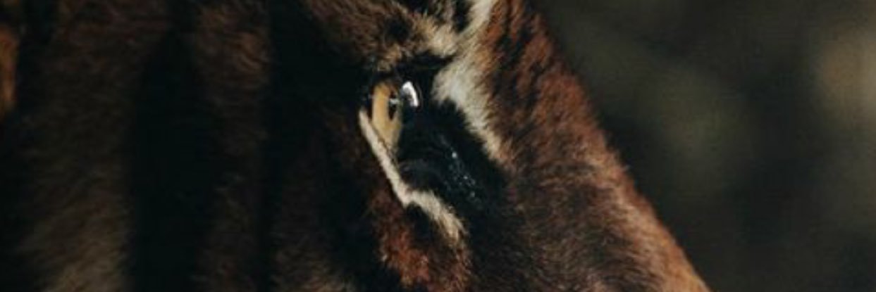 ahoud_n's profile banner image
