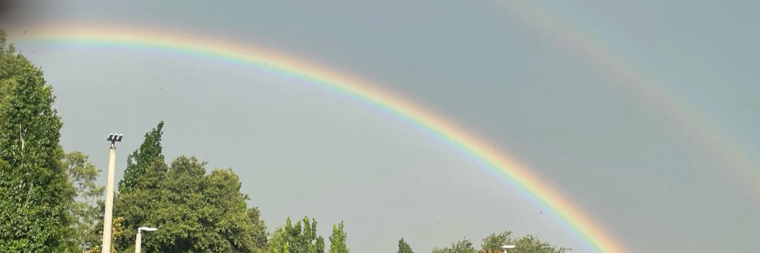 carolinearell's profile banner image