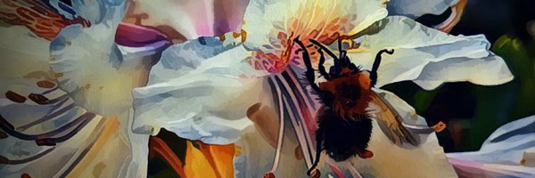 PaulCockshott Profile Banner