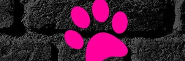 monadean_05's profile banner image