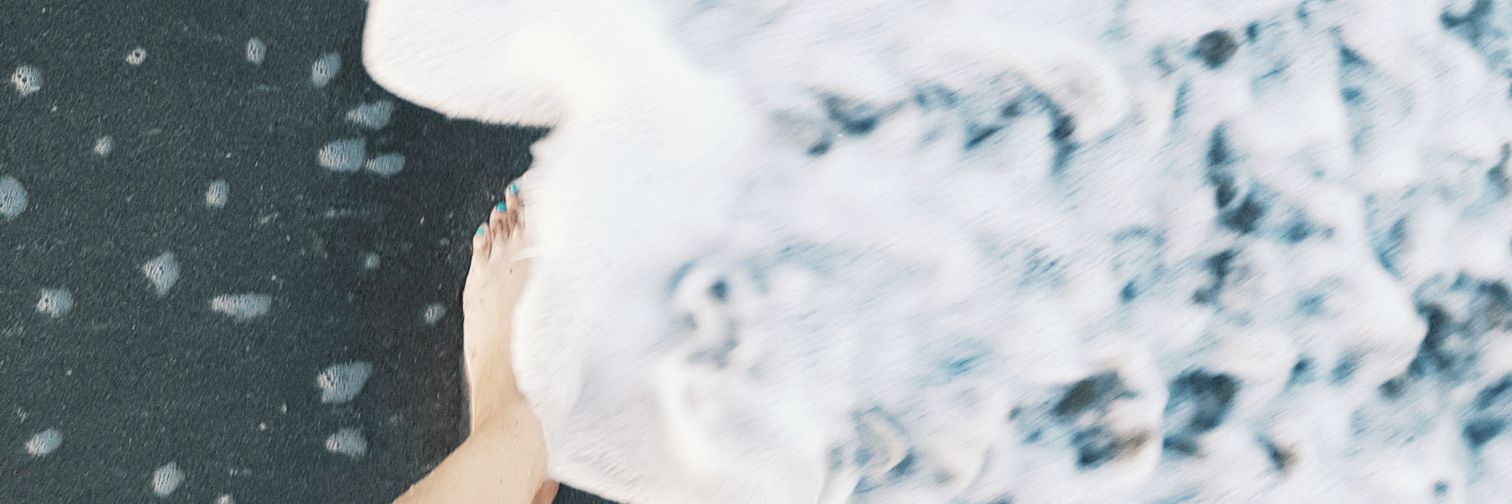 StegerSofi's profile banner image