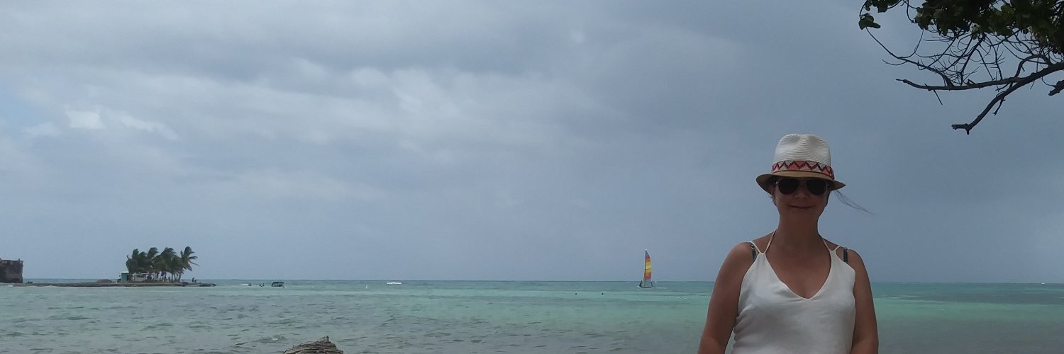 anasofibm's profile banner image