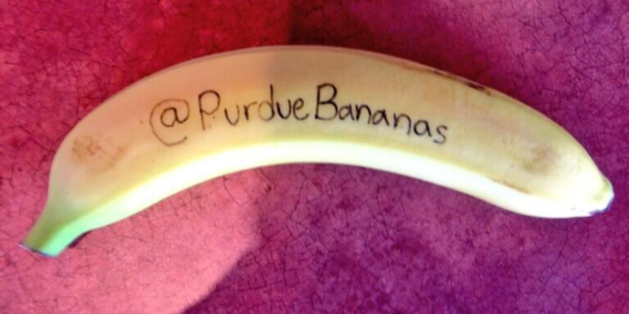 PurdueBananas's profile banner image