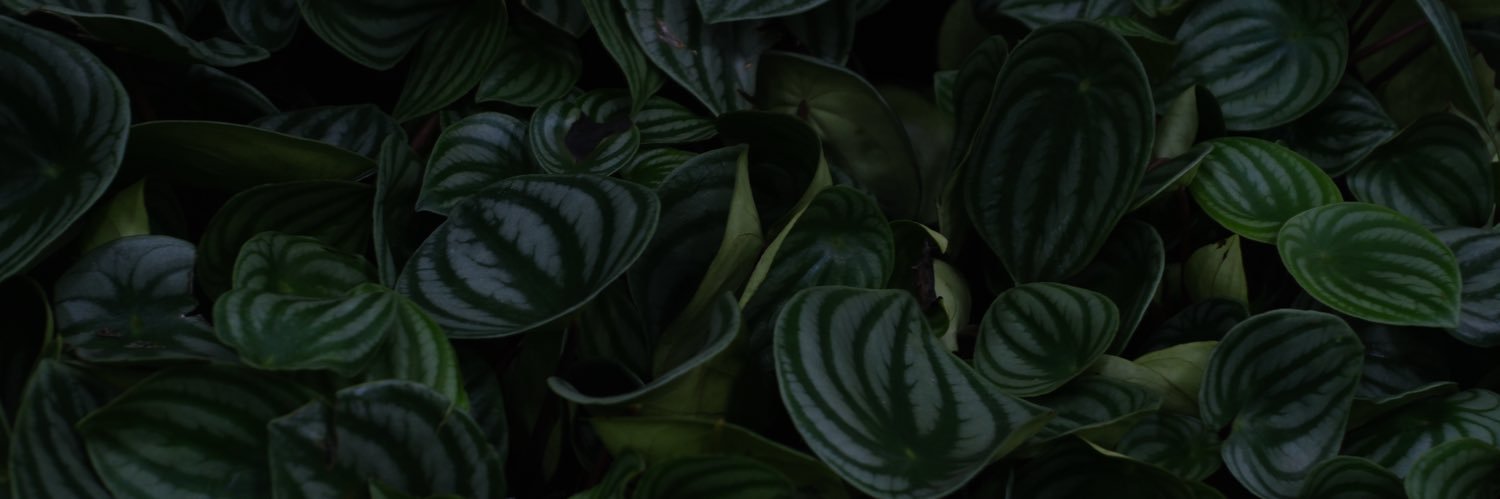 suff3rthrough's profile banner image