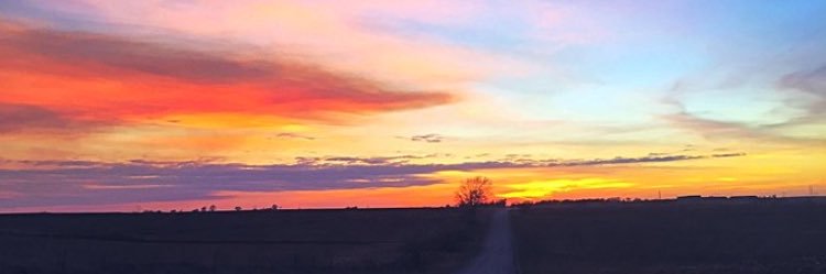 ShaylynMarie__'s profile banner image