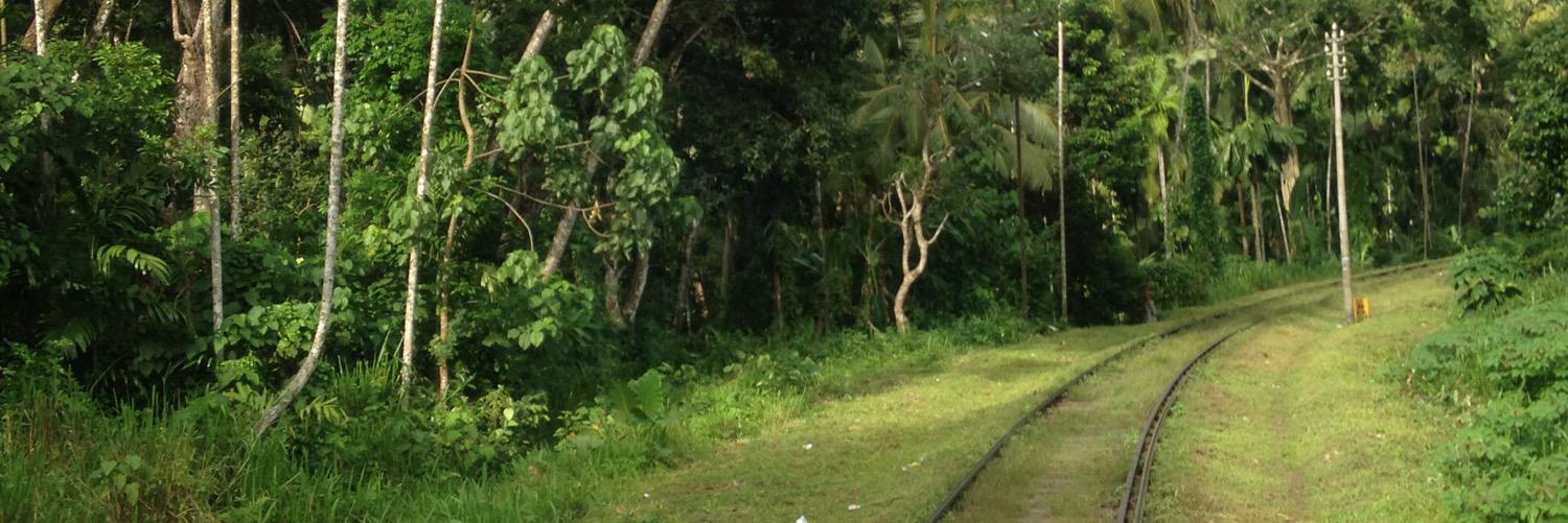 noththesloth's profile banner image