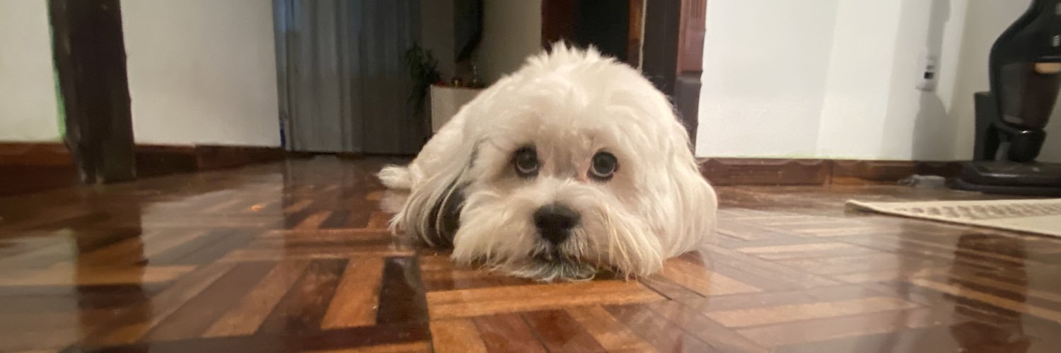 biancacnesi's profile banner image