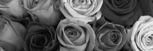 SianWright2's profile banner image