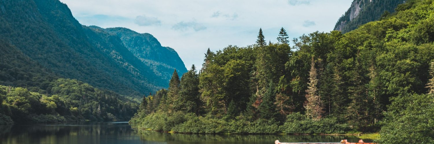 LizFrank820's profile banner image