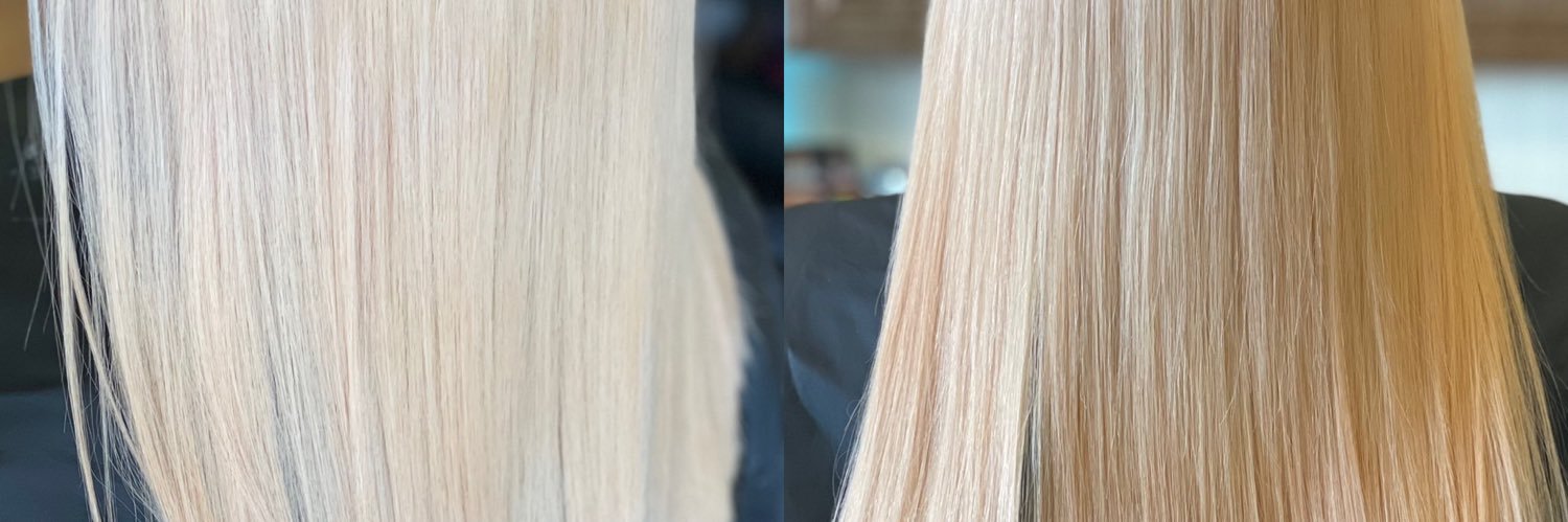 haleybear42413's profile banner image