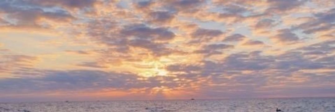 CandelaBiaggio's profile banner image