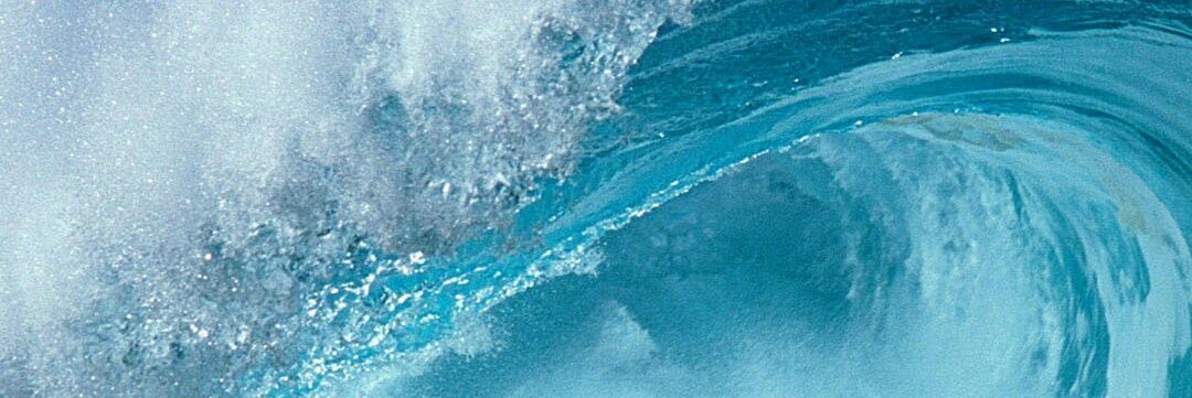 tocanelson12's profile banner image