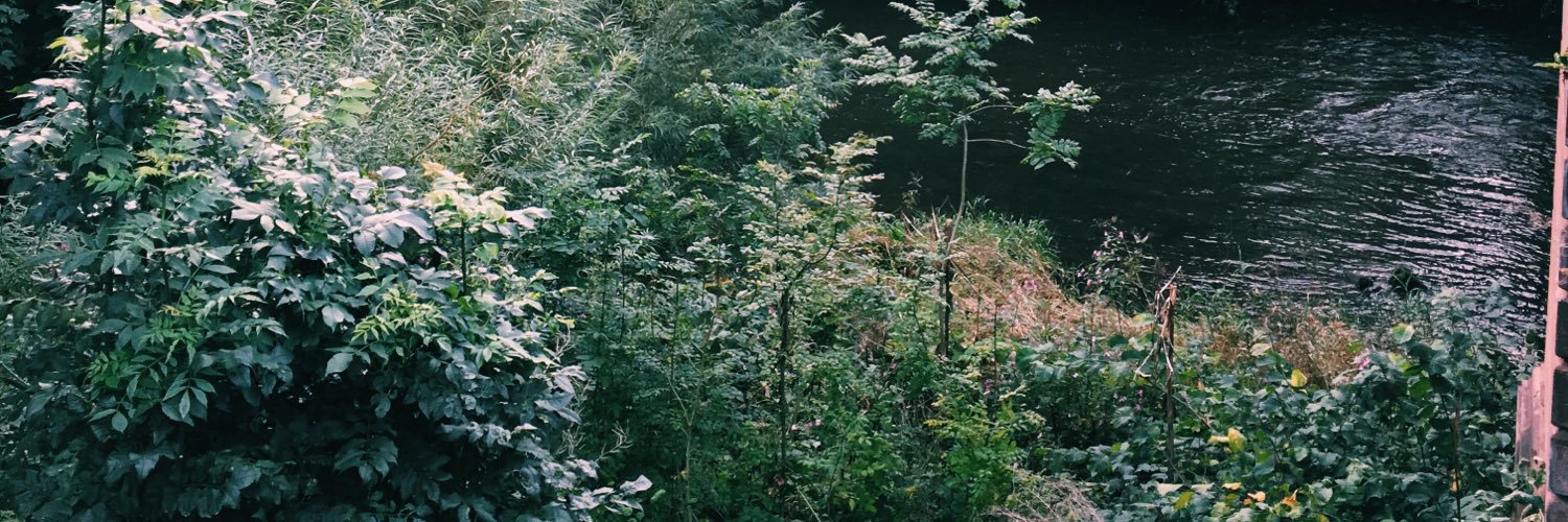 patrickdrisc0ll's profile banner image