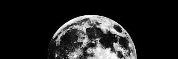 rawkid_damnn Profile Banner