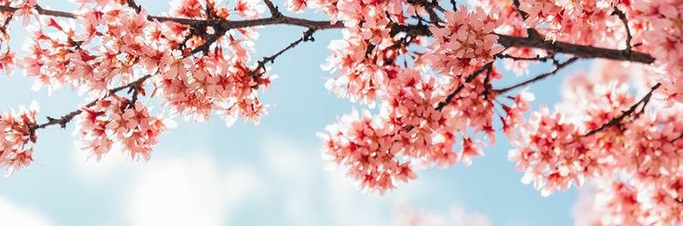 cloudtennine's profile banner image