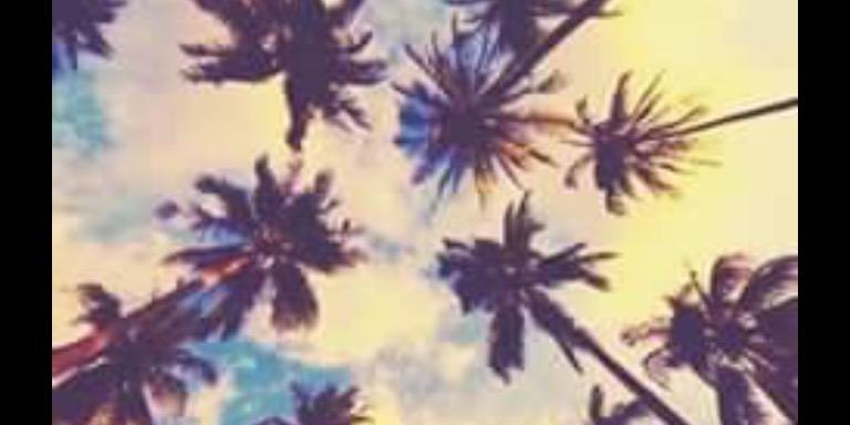 brigny_t's profile banner image