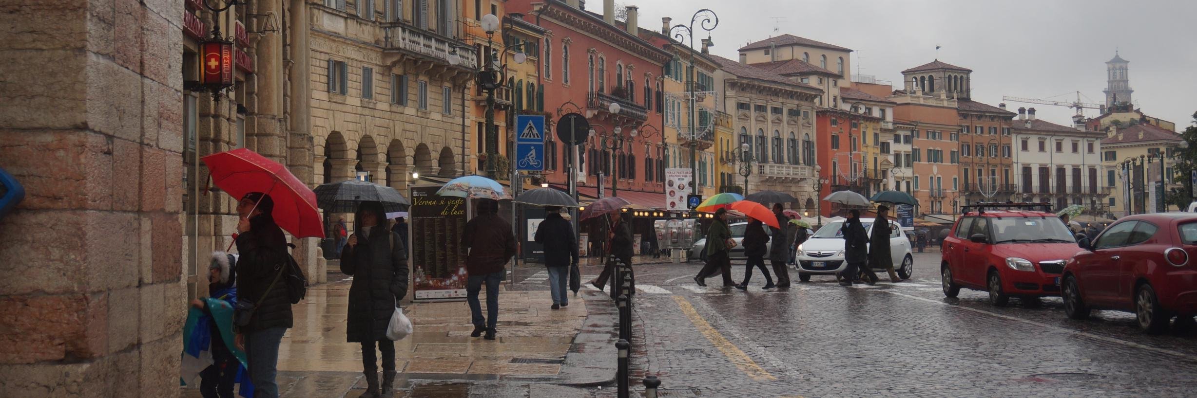 Tassos Koutlas banner