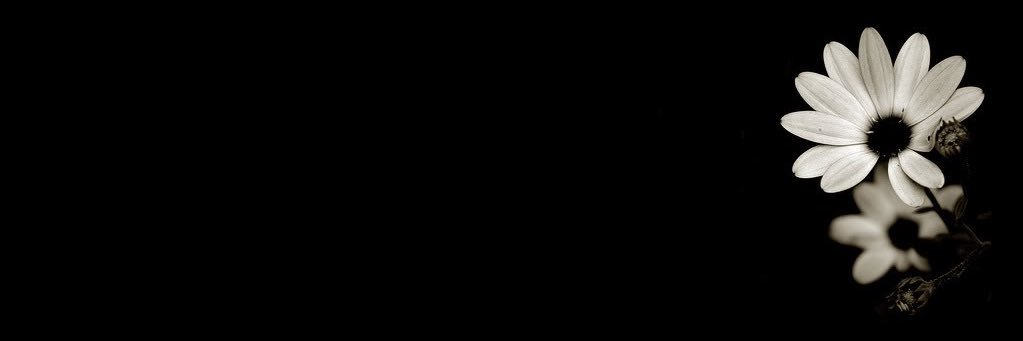 iqorcc's profile banner image