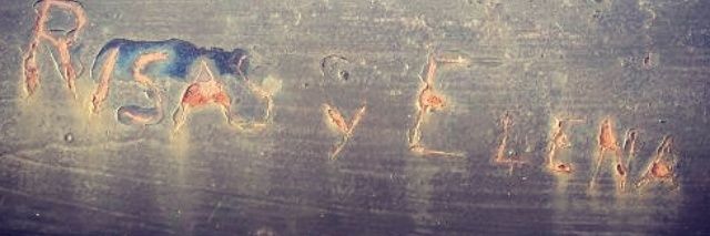 elena__vrgs's profile banner image