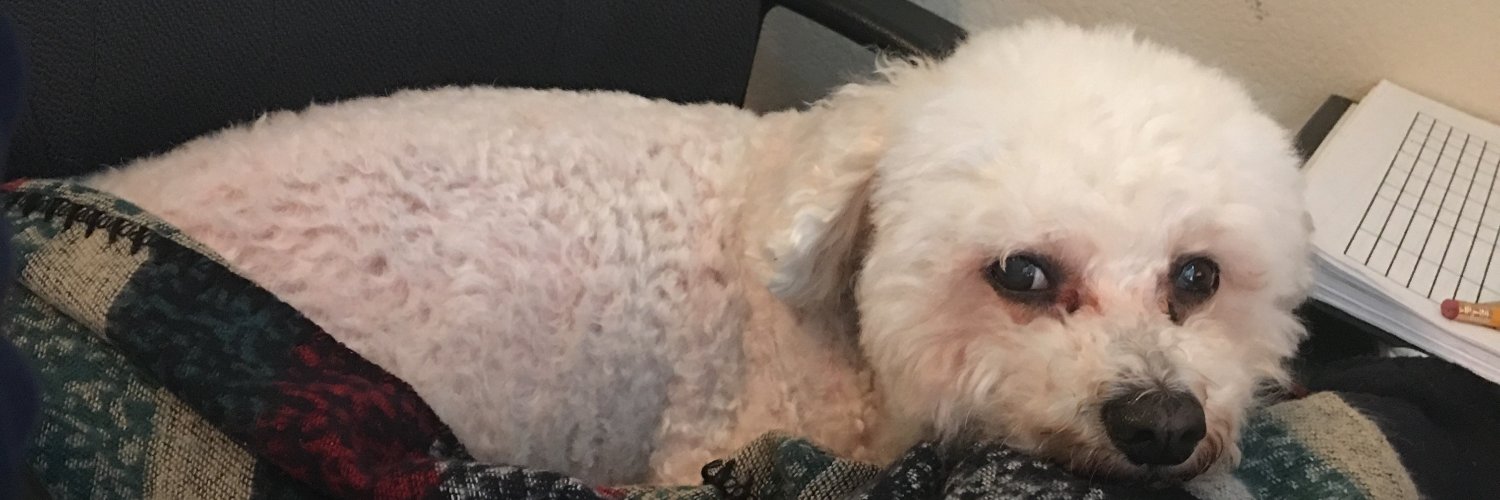 Katharine “Kate” Crooks, MSc 🧠 banner