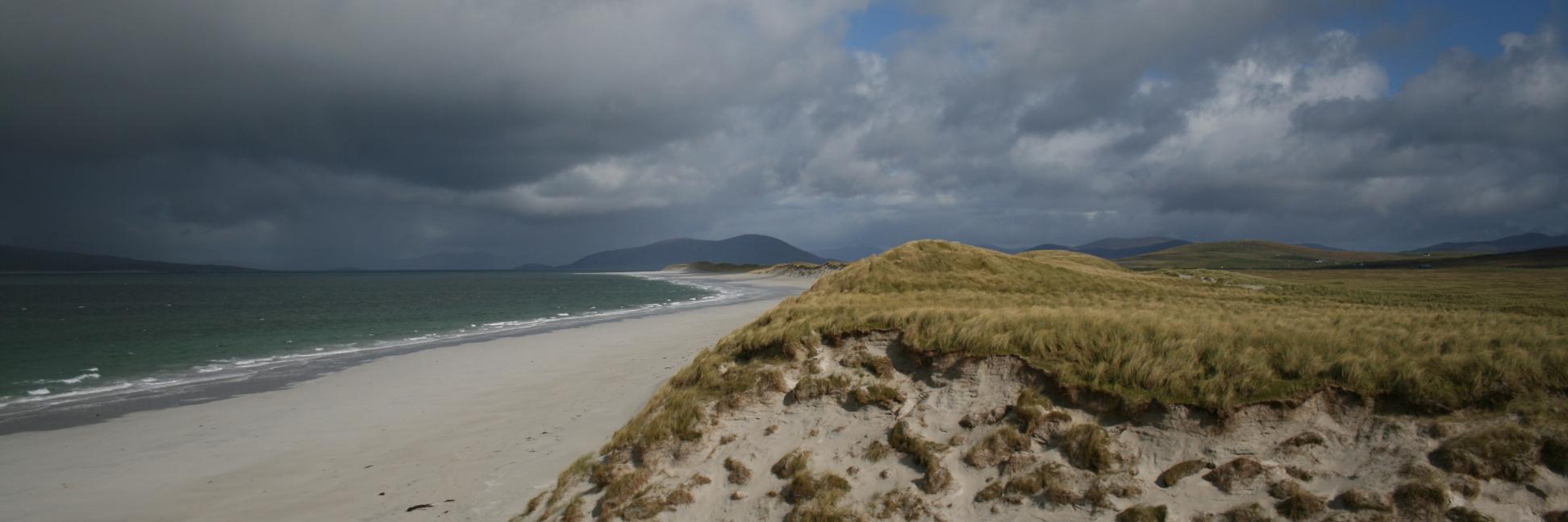 Francesco Sindico banner