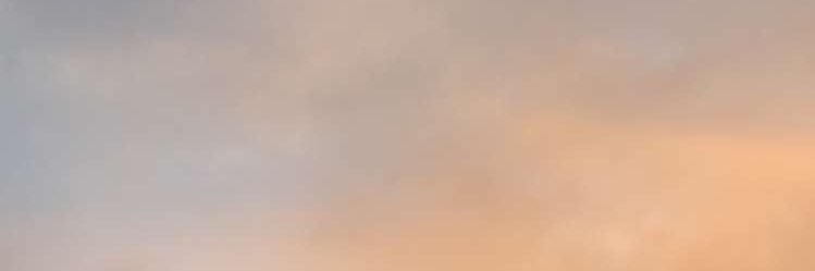 cora banner