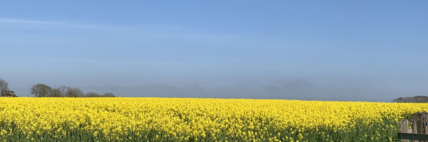 Anna Crabtree banner