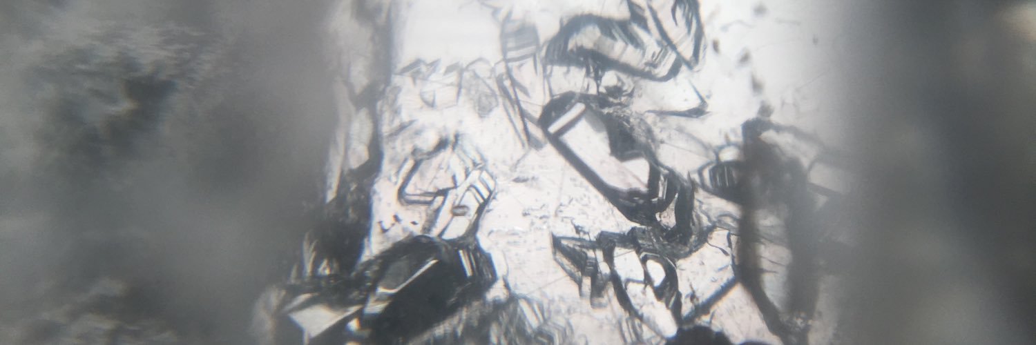 lang_lang12's profile banner image