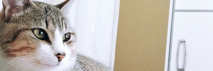 _8always's profile banner image