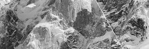 dariodecata's profile banner image