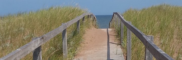 Dr.Erin-a coffee appreciation account🇨🇦 banner