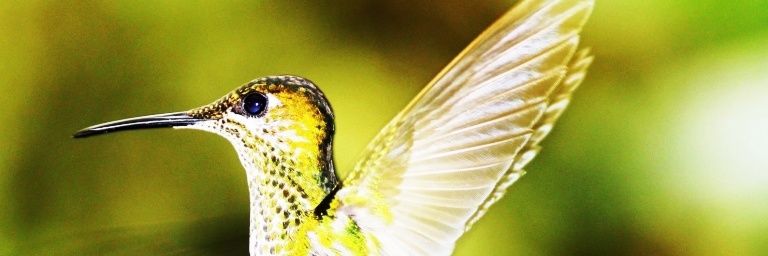 lvsrivero's profile banner image