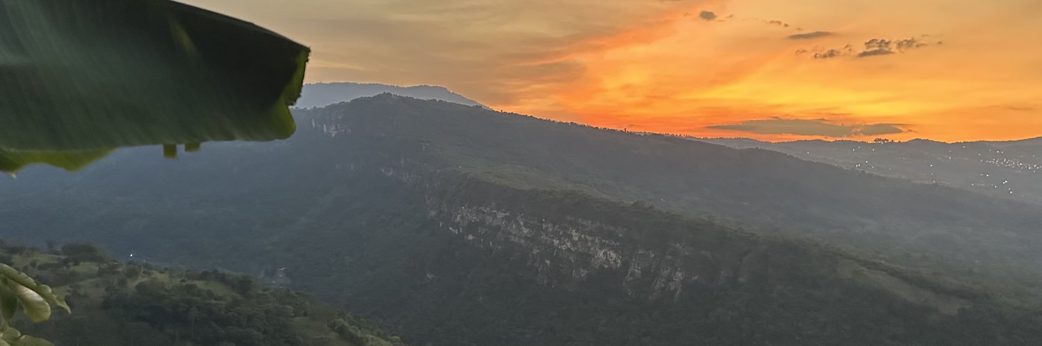 aleuzucon's profile banner image