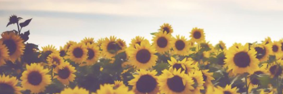 walalaooo's profile banner image