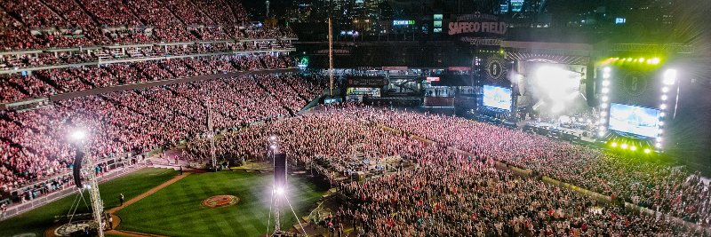 Michelle Davies banner